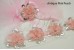 Sequin Flower, BLING BLOSSOM, Flower Trim, Pack of 2